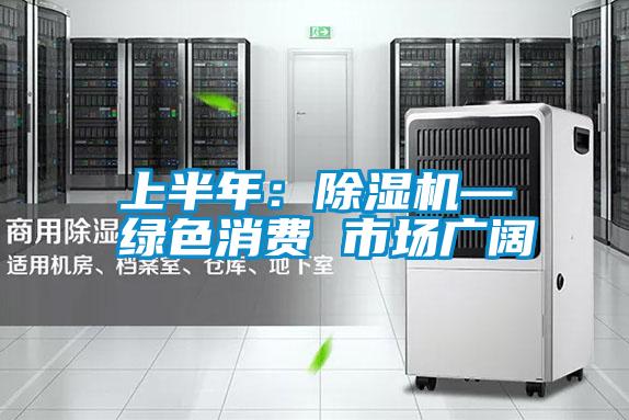 上半年：除湿机—绿色消费 市场广阔