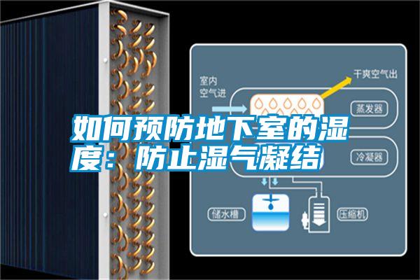 如何预防地下室的湿度：防止湿气凝结