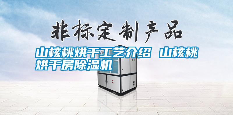 山核桃烘干工艺介绍 山核桃烘干房除湿机