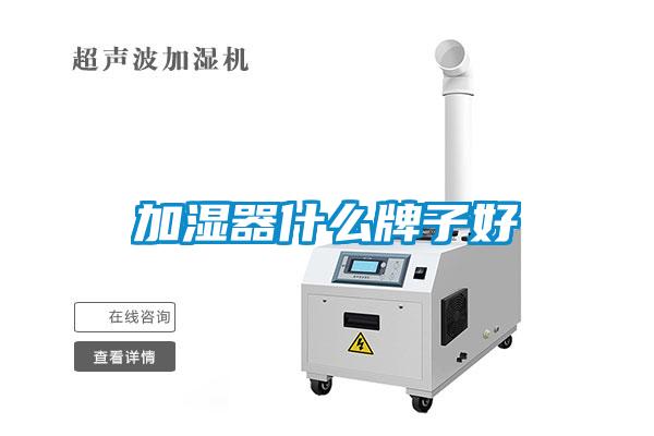 加湿器什么牌子好