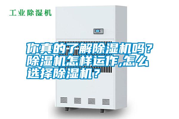 你真的了解除湿机吗?除湿机怎样运作,怎么选择除湿机?