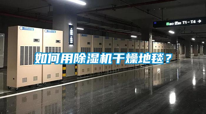 如何用除湿机干燥地毯？