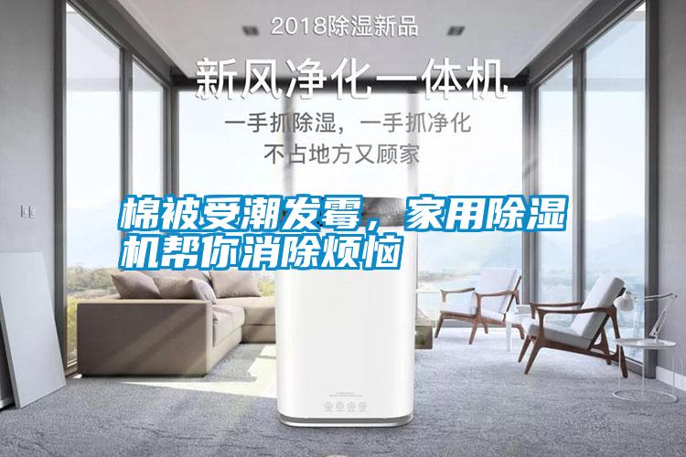 棉被受潮发霉，hthcom华体会
帮你消除烦恼