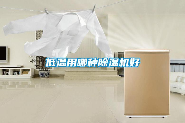 低温用哪种除湿机好