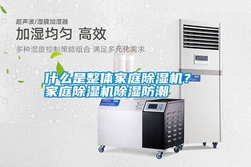 什么是整体家庭除湿机？ 家庭除湿机除湿防潮