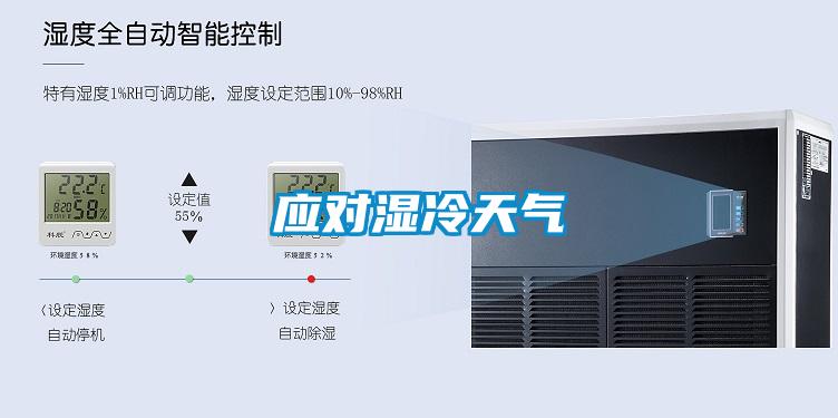 应对湿冷天气