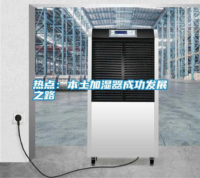 热点：本土加湿器成功发展之路
