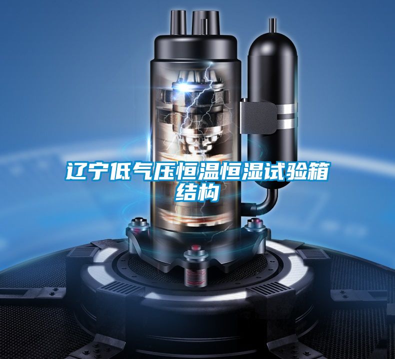 辽宁低气压恒温恒湿试验箱结构