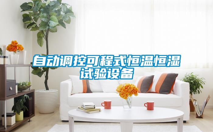 自动调控可程式恒温恒湿试验设备