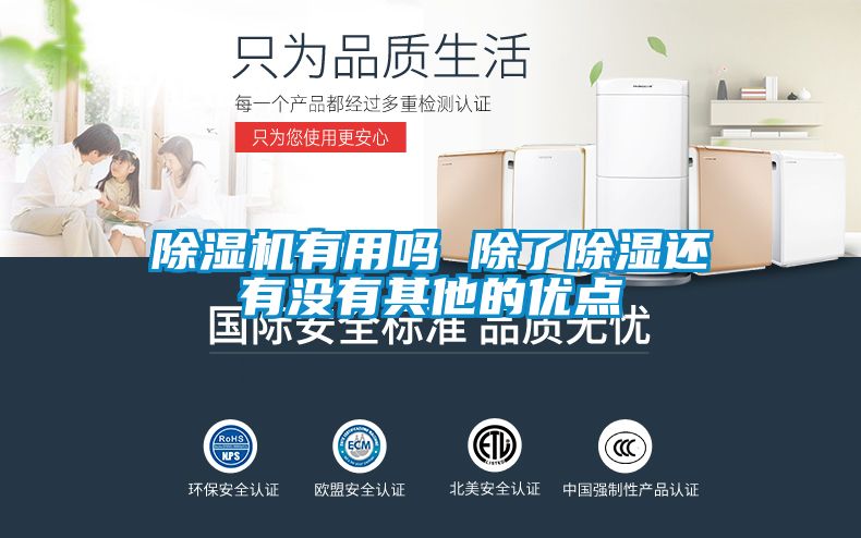 除湿机有用吗 除了除湿还有没有其他的优点