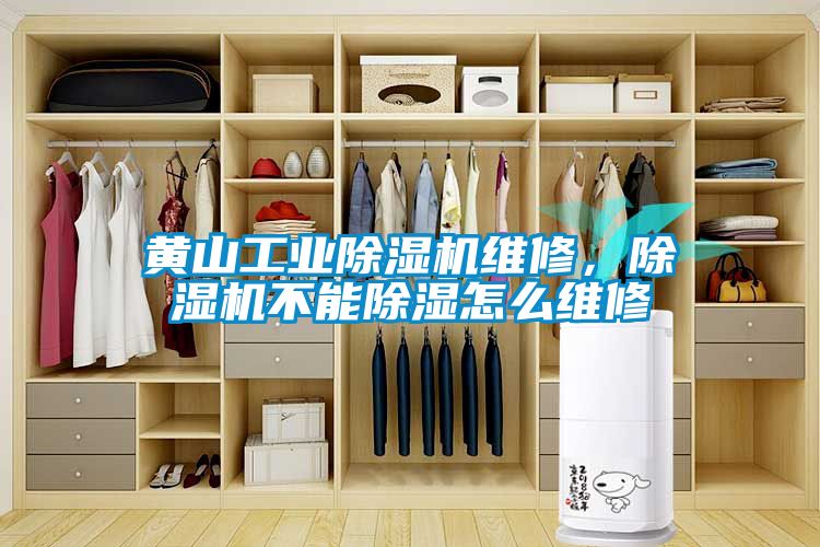 黄山工业除湿机维修，除湿机不能除湿怎么维修